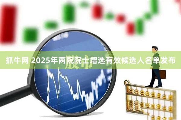 抓牛网 2025年两院院士增选有效候选人名单发布