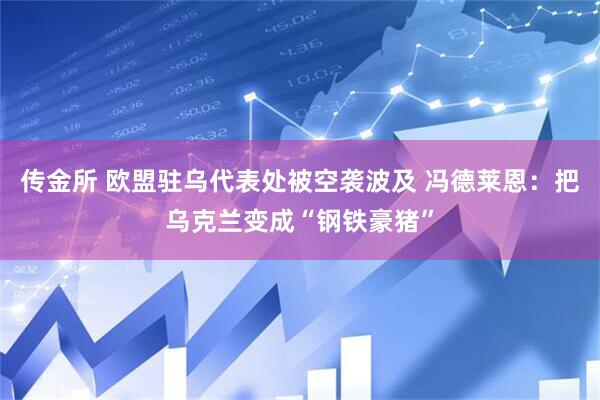 传金所 欧盟驻乌代表处被空袭波及 冯德莱恩：把乌克兰变成“钢铁豪猪”