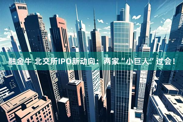 融金牛 北交所IPO新动向：两家“小巨人”过会！