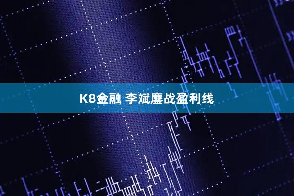 K8金融 李斌鏖战盈利线