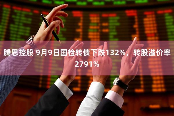 腾思控股 9月9日国检转债下跌132%，转股溢价率2791%