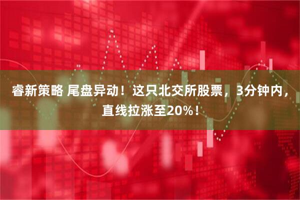 睿新策略 尾盘异动！这只北交所股票，3分钟内，直线拉涨至20%！
